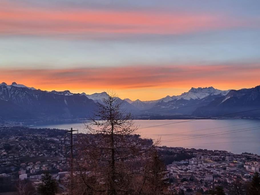 Le Toit De Chardonne - Entre Alpes Et Lac Leman Eksteriør bilde