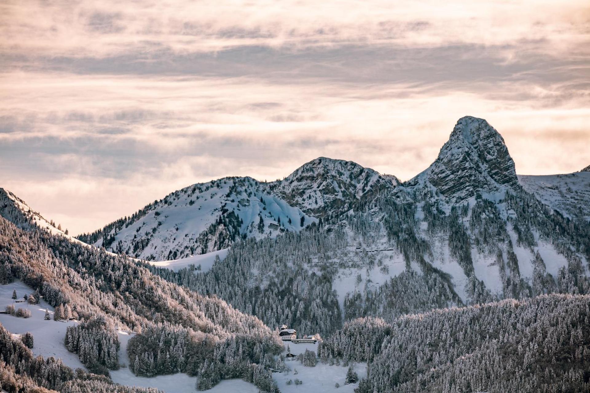 Le Toit De Chardonne - Entre Alpes Et Lac Leman Eksteriør bilde